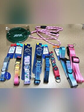 Kids' Pink & Blue Gradient Dog Collar Set by
